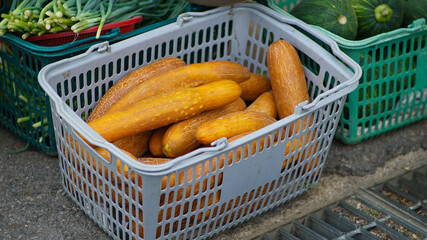 Overripe cucumbers in a plastic basket