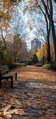 Transforming Urban Parks Seasonal Changes Captured in Monthly Photography