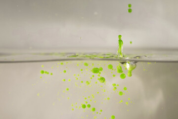 farbe tropfen wasser grün