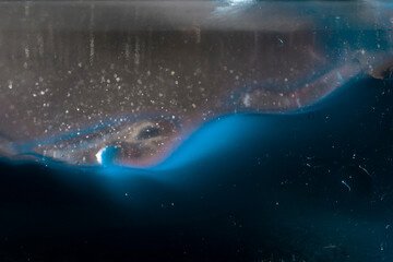 Fototapeta premium welle blau wasser flut kunst