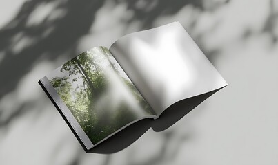 Open Book Displays Forest Scene Photography