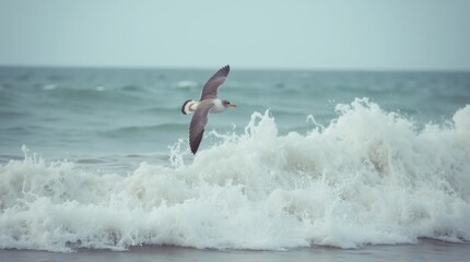 Solitary Seagull Over a Stormy Ocean