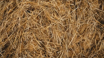 Texture of Brown Natural Dried Hay