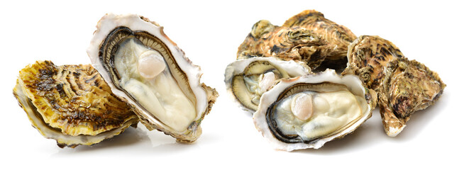 Fresh opened oyster on white background