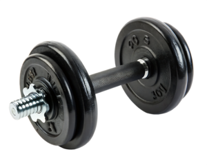 dumbbell isolated on white background as transparent. PNG. AI GENERATED.