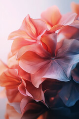 Fototapeta premium a bunch of flowers