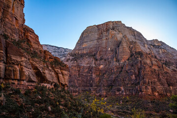 Cliffs rise above Zion's stunning trails