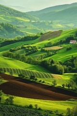 Obraz premium A lush green hillside with a white house in the distance. The scene is peaceful and serene, with the rolling hills and trees creating a sense of calm and tranquility