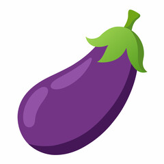 eggplant with vector