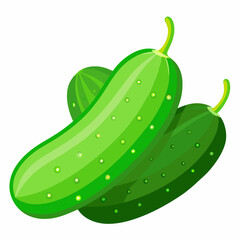 Cucumber With Vector