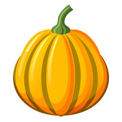 pumpkin isolated on white background
