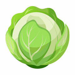 cabbage