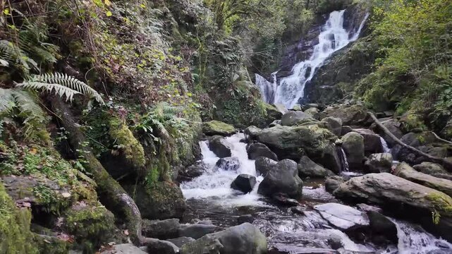 Torc waterfall cascading over rocks in the forest, county Kerry Ireland in Autumn