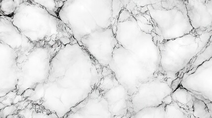 Elegant white marble texture with intricate gray veining.