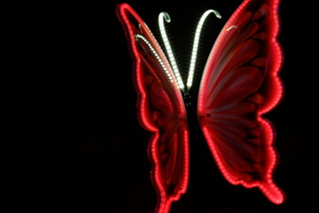 A beautifully illuminated butterfly sculpture featuring vibrant colors, perfect for adding charm to...