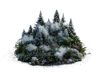 Fototapeta premium Lush evergreen forest with dense mist highlighting natural tranquility and serene wilderness setting.