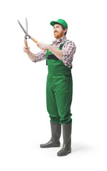 Professional gardener using hedge shears