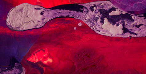 Bold Colors and Gold Accents in a Textured Backdrop