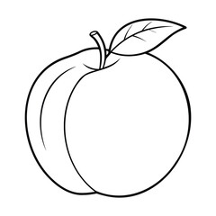 Black and white outline drawing of an apricot with a leaf
