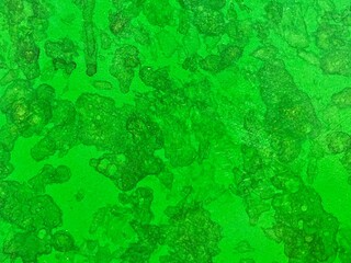 Neon green with water colour of black 