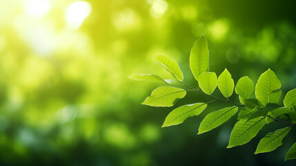 Obraz premium green leaves of a tree in sunlight, capturing nature's beauty and the fresh vibrancy of the outdoors in natural light