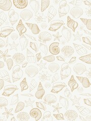 Seashell illustration with white background