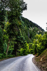Obraz premium road in the mountains