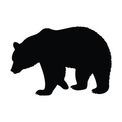 A black bear is walking on a white background. The bear is walking with its head down. The bear is walking on the right side of the image