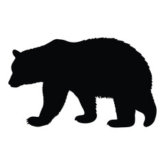 Fototapeta premium A black bear is walking on a white background. The bear is walking with its head down. The bear is walking on the right side of the image