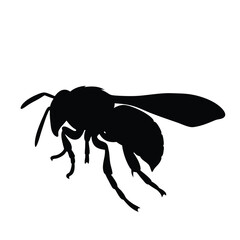 A black and white drawing of a bee. The bee is flying in the air. The drawing is of a silhouette