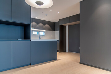 interior of the modern kitchen in the apartment