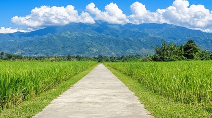 Scenic pathway through lush rice fields with majestic mountains tranquil landscape view nature
