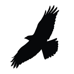 a fly crow vector silhouette