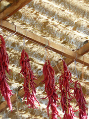 Cuacos de Yuste (Cáceres) Spain. Pepper drying shed in the village of Cuacos de Yuste