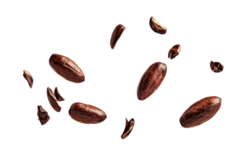 Dried dark Cocoa beans and seeds that cracked into pieces flying in the air isolated on background, ingredient for rich chocolate flavors.