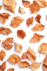 Naklejka premium Brown leaves on white surface