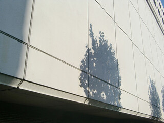 office building with reflection