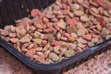 Cat Food Close Up