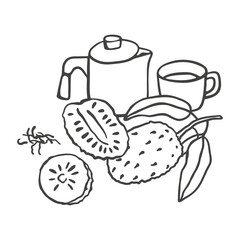 Hand drawn soursop tea composition. Simple sketch style exotic fruit design