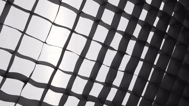 Neewer softbox with black grid