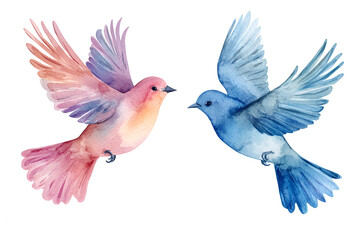 Obraz premium Two birds of a pigeon with watercolor paints.