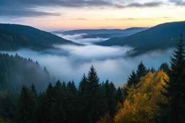 Obraz premium Valley landscape with trees