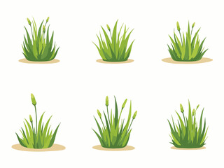 Grass icon set. Grass isolated on white background. Grass in modern simple. Cute round Grass plant nature collection. Vector illustrator