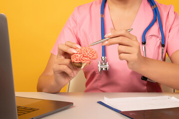 Female doctor is pointing pen anatomical model human brain. Help and care concept
