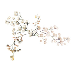 Gypsophila, Bouquet of gypsophila,, can be used as greeting card, invitation card for wedding, birthday and other holiday and summer background