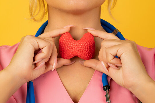 Female doctor is holding anatomical model thyroid gland. Help and care concept