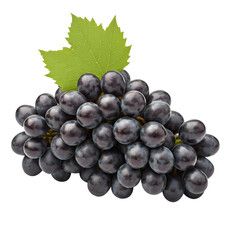 Fototapeta premium bunch of grapes isolated on white