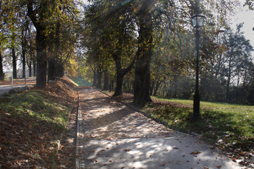 slovenia
walking path in the sun to Ljubljana Castle