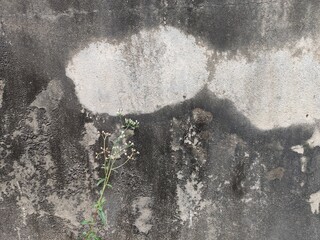 grunge cement wall texture background, grunge cement wall background