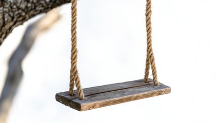 A wooden swing hanging from a tree, inviting relaxation and playfulness in a serene environment.